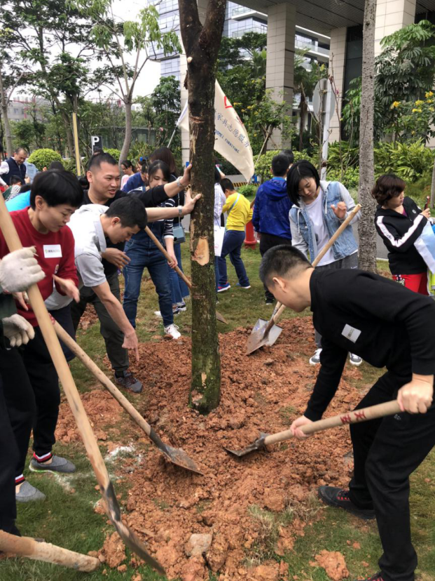 图片关键词